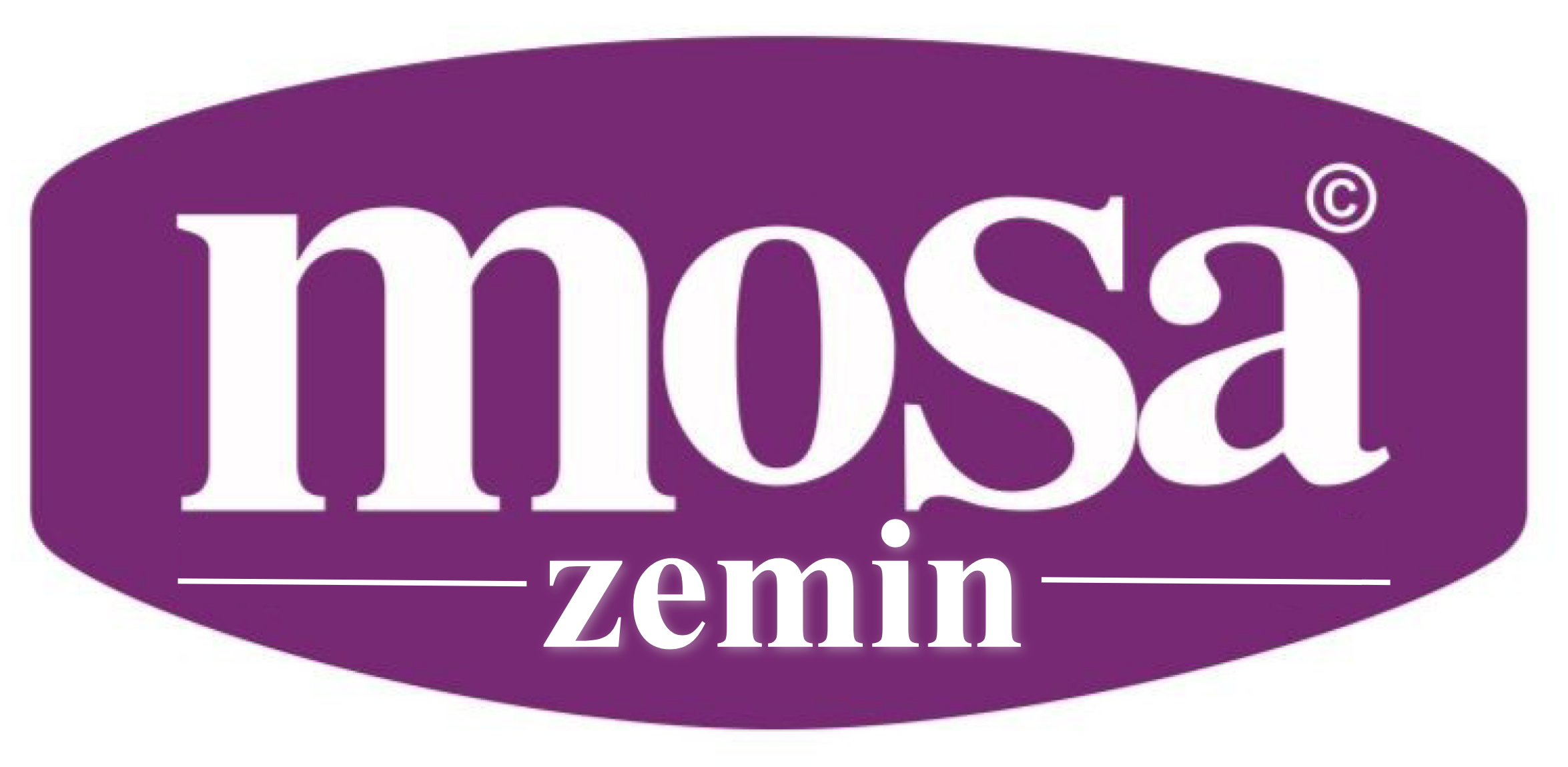 Mosa Zemin